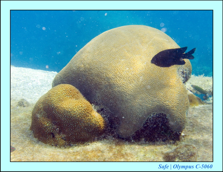 2008 - 07 - Leng Tengah - 099